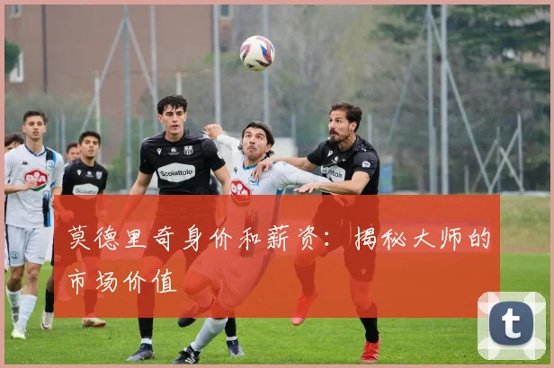 莫德里奇身价和薪资：揭秘大师的市场价值