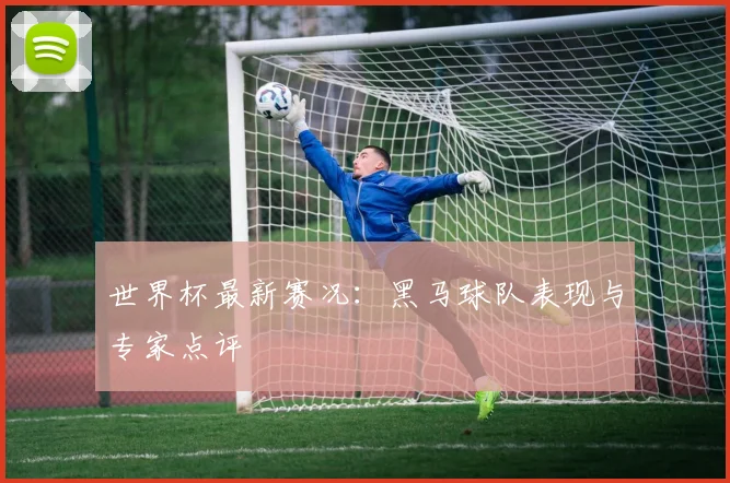 世界杯最新赛况：黑马球队表现与专家点评