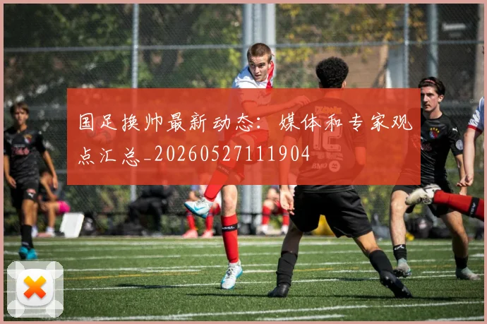 国足换帅最新动态：媒体和专家观点汇总_20260527111904